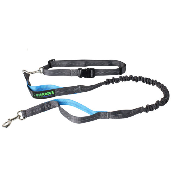 Jespet HandsFree Bungee Leash Wayfair